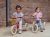 Trybike-2024-matt-126