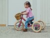 Trybike-2024-matt-171