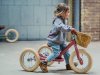 Trybike-2024-matt-85