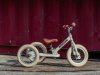 Trybike-matt-2024-28